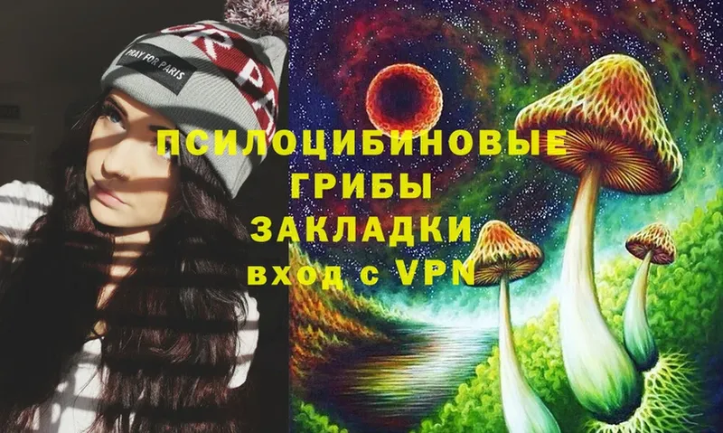 купить  цена  Улан-Удэ  Псилоцибиновые грибы Psilocybe 